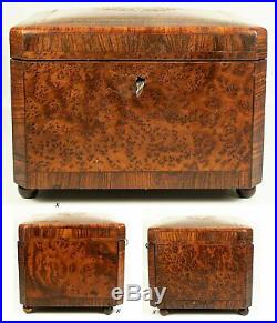 Antik Französisch Zigarre Brust, Präsentationsbox, Regale, Napoleon III