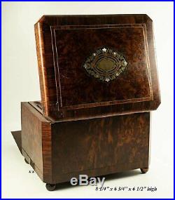 Antik Französisch Zigarre Brust, Präsentationsbox, Regale, Napoleon III