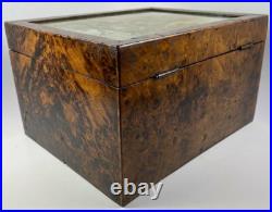 Antique French Needlepoint & Burled Wood Sewing or Work Box, Cigar Box, c1830-50