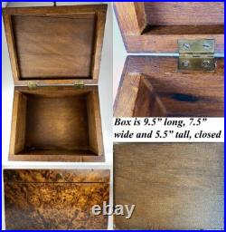 Antique French Needlepoint & Burled Wood Sewing or Work Box, Cigar Box, c1830-50
