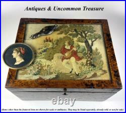 Antique French Needlepoint & Burled Wood Sewing or Work Box, Cigar Box, c1830-50