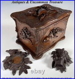 Antique Hand Carved 11.5 Swiss Black Forest Cigar Cabinet, Chest, Box Holds 55