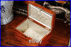 Beautiful Antique Wood Humidor Box with Key Tobacciana Cigar