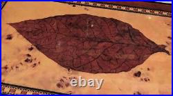 Cigar Humidor with Tobacco Leaf Design Holds 25 Cigars NEW & BOXED