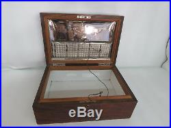 Early 1900s Oak Tabletop Cigar Tobacco Humidor Chest Box 054B