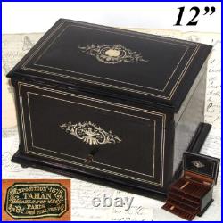Fab Antique French TAHAN Napoleon III 12 Cigar Presenter Box, Chest, Tantalus Fab Antique French TAHAN Napoleon III 12 Cigar Presenter Box, Chest, Tantalus