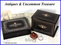 Fab Antique French TAHAN Napoleon III 12 Cigar Presenter Box, Chest, Tantalus Fab Antique French TAHAN Napoleon III 12 Cigar Presenter Box, Chest, Tantalus