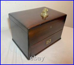 Large quality antique mahogany wood brass glass humidor cigar box case parrot