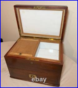 Large quality antique mahogany wood brass glass humidor cigar box case parrot
