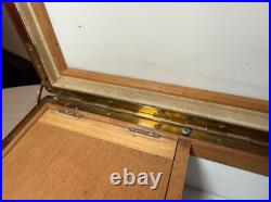 Large quality antique mahogany wood brass glass humidor cigar box case parrot