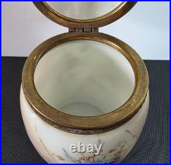 Lovely Antique Victorian Wavecrest Art Nouveau Cigars Humidor Glass Jar Box