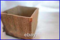 Outstanding Terracotta Pug Dog withPuppies Small Tobacco Humidor/Box Antique Outstanding Terracotta Pug Dog withPuppies Small Tobacco Humidor/Box Antique