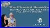 The_Elevated_Humidor_The_Story_The_Craft_The_Vision_01_hrom